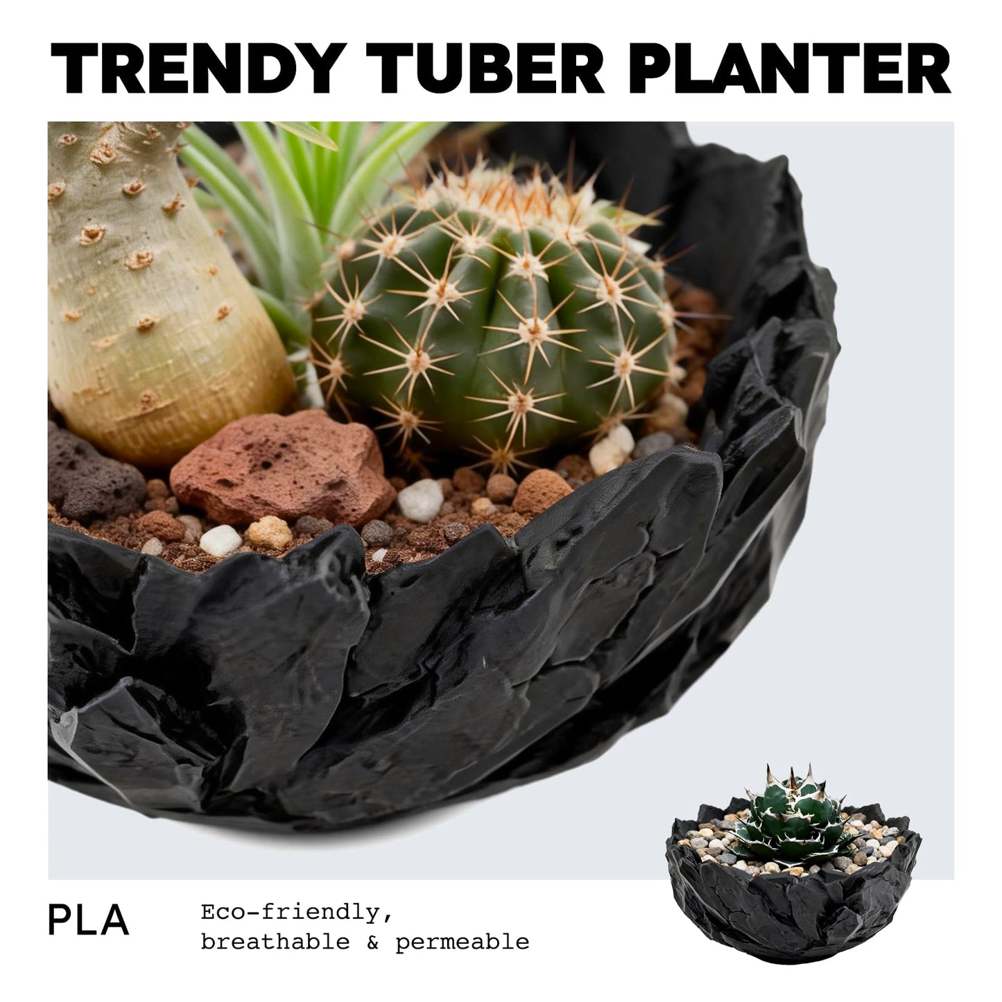 Dak Haan Succulent Pot with Drainage – Indoor Plant Pots, Artistic Design Flower Pots,Personalized Custom Mothers Day Plant Pot, Shallow Succulents Pots Bowls for Home, Office, Weddings & Party Décor