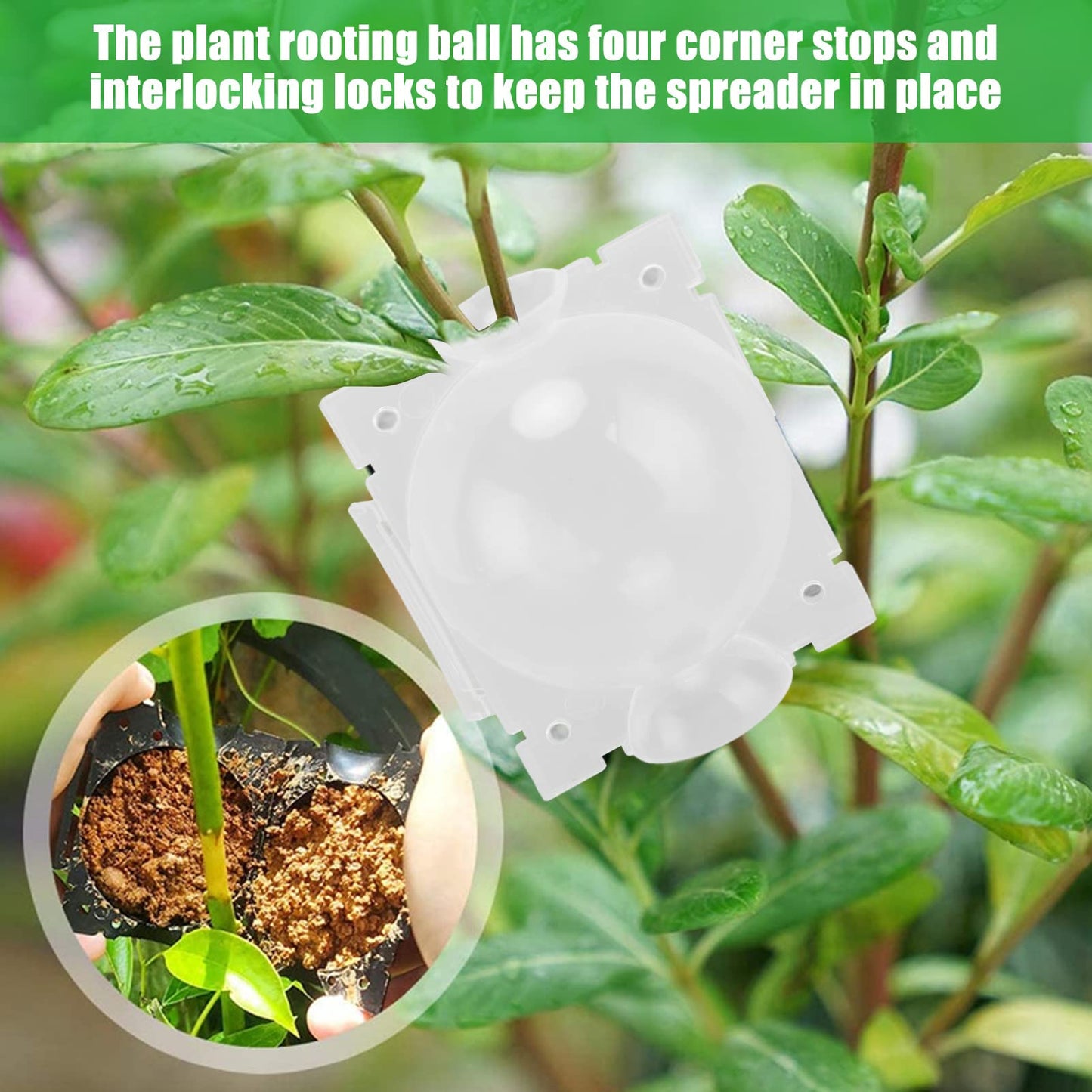 Gazaar 10Pcs Plant Root Growing Box,Plant Rooting Grow Propagation Ball,High Pressure Propagation Ball,Grafting Rooting Ball for Plants