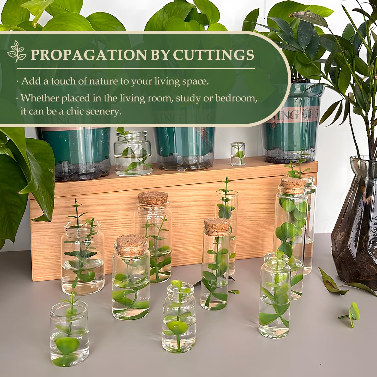 16-Pack 0.67 oz (20 ml) Glass Bottles with Cork Stoppers – for Spell Bottles, Spice Jars, DIY Party Favors, Travel Memories & Plant Propagation – Empty Recyclable Containers for Crafts, Kitchen,Décor