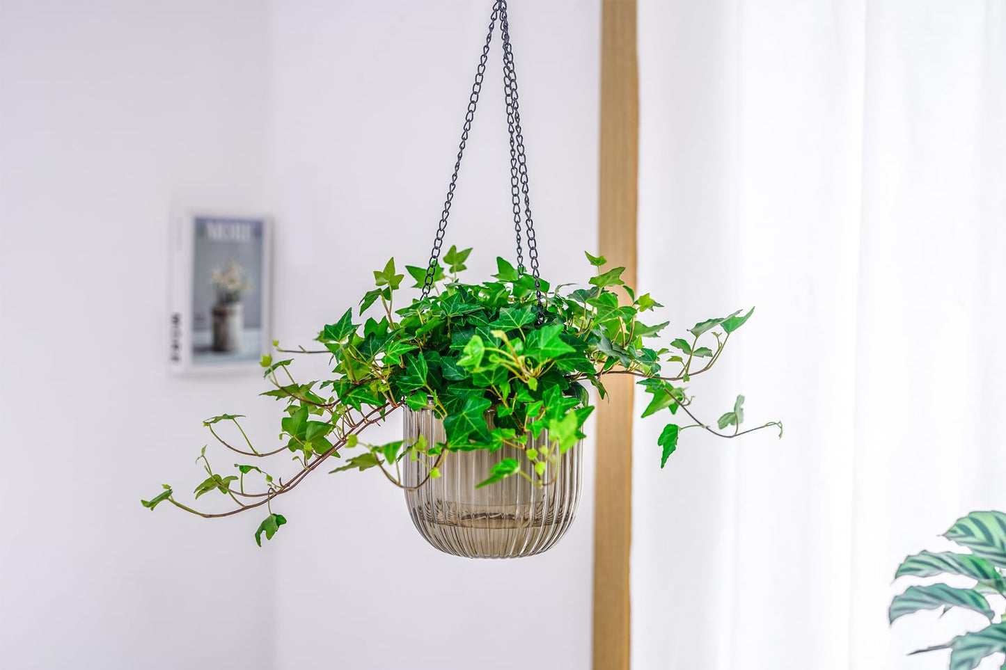 Melphoe Hanging Planters Outdoor and Indoor