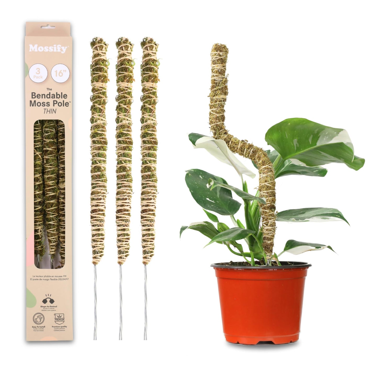 Mossify Bendable Moss Pole for Monstera 3 Pack (16" / 30" / 42") – Flexible Moss Pole Stakes for Indoor Plants – Premium Forest Moss with 3-Prong Stake System – Indoor & Outdoor Plant Trellis Set