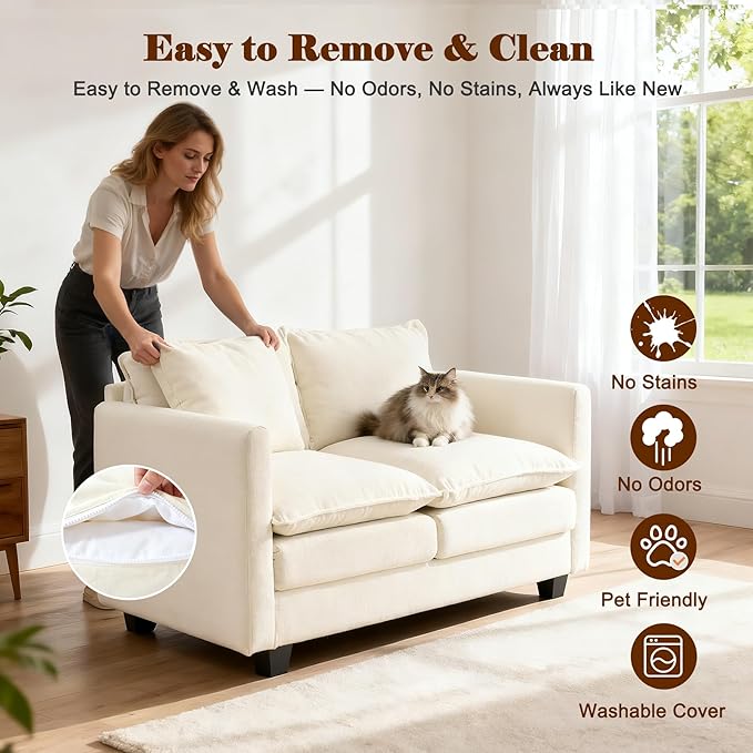 Loveseat Sofa Cloud Sofa Couch 50'', Modern Loveseats 2 Seat Couch 27" Deep Seat