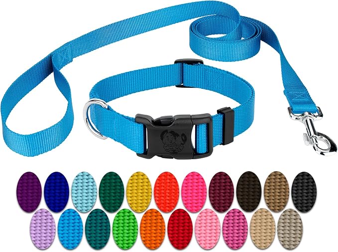 Country Brook Petz - Deluxe Nylon Dog Collar and Leash - 10+ Cool Colors (1 Inch, Extra Large, Ice Blue)