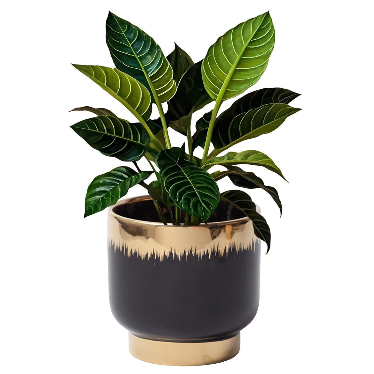 LB Black Gold Ceramic Planters for Indoor Plants, Succulent Plant Pots Ceramic Plant Pot, Modern Flower Pots for Living Room Office Home Decor, Round Flower Pot of 4.3 Inch(Plant Not Included)