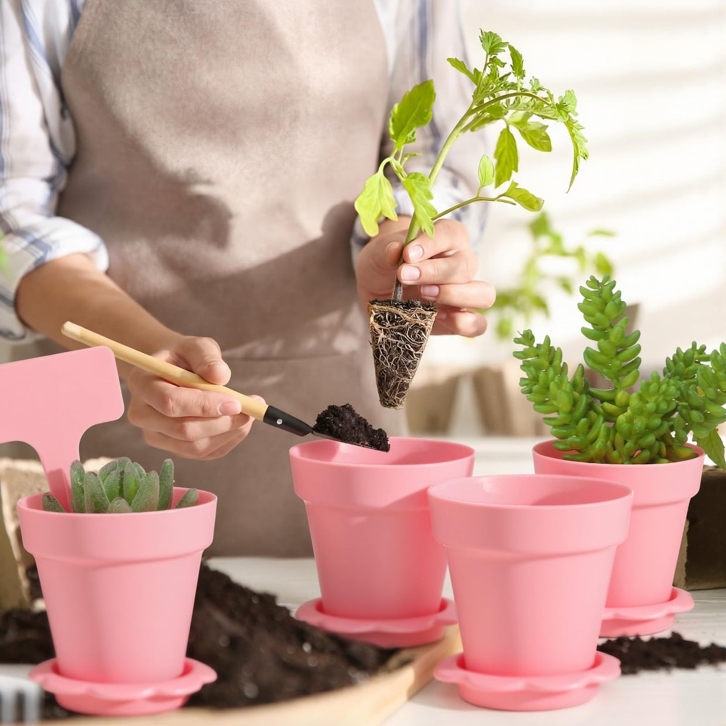 LOYIM 36 Packs Cupcake Plant Nursery Pots with Humidity Dome Small Flower Pots Plastic Planting Containers Cups with Saucers and Shovel for Indoor Outdoor Plant Succulent Display (Pink)