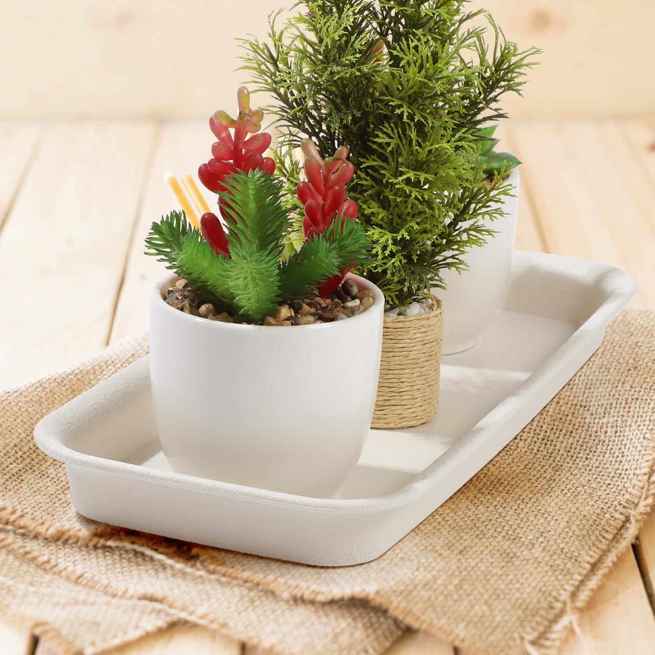 IMIKEYA 5 Pack Rectangular Plastic Plant Drip Trays: 12 Inch White Plant Saucers for Indoors, Windowsill, Flower Pot Planter Drip Tray to Catch Water