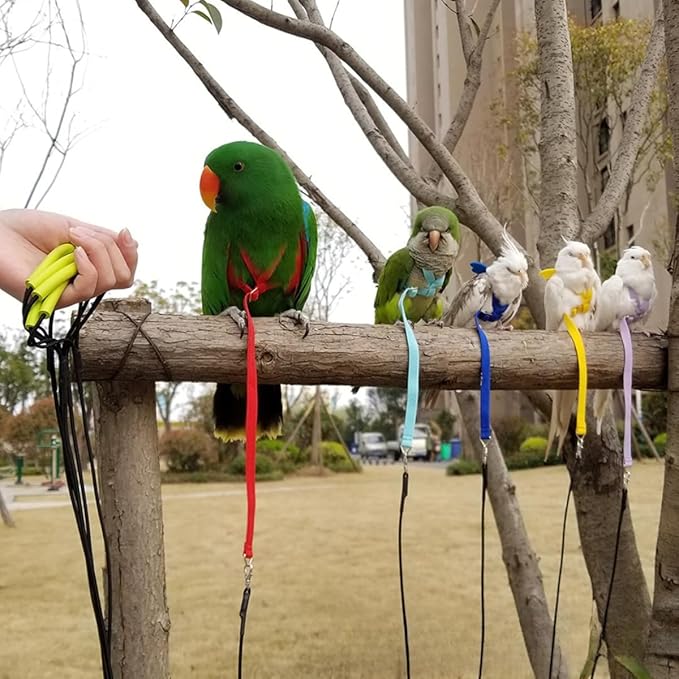 Adjustable Bird Harness with Elastic Leash, Pet Parrot Harness and Leash, Adjustable Training Design Anti-Bite, Bird Nylon Rope with Cute Wing for Conure (Lake Blue,S)