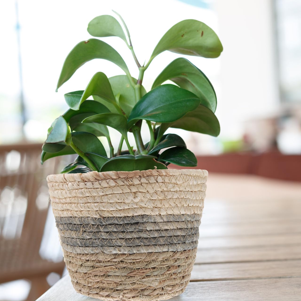Healeved 2PCS Seagrass Plant Basket with Liner for Indoor Plants Rattan Pots 6inch Weaving Straw Planter Baskets Wicker Small Rustic Decorative Flower Pots for Desktop