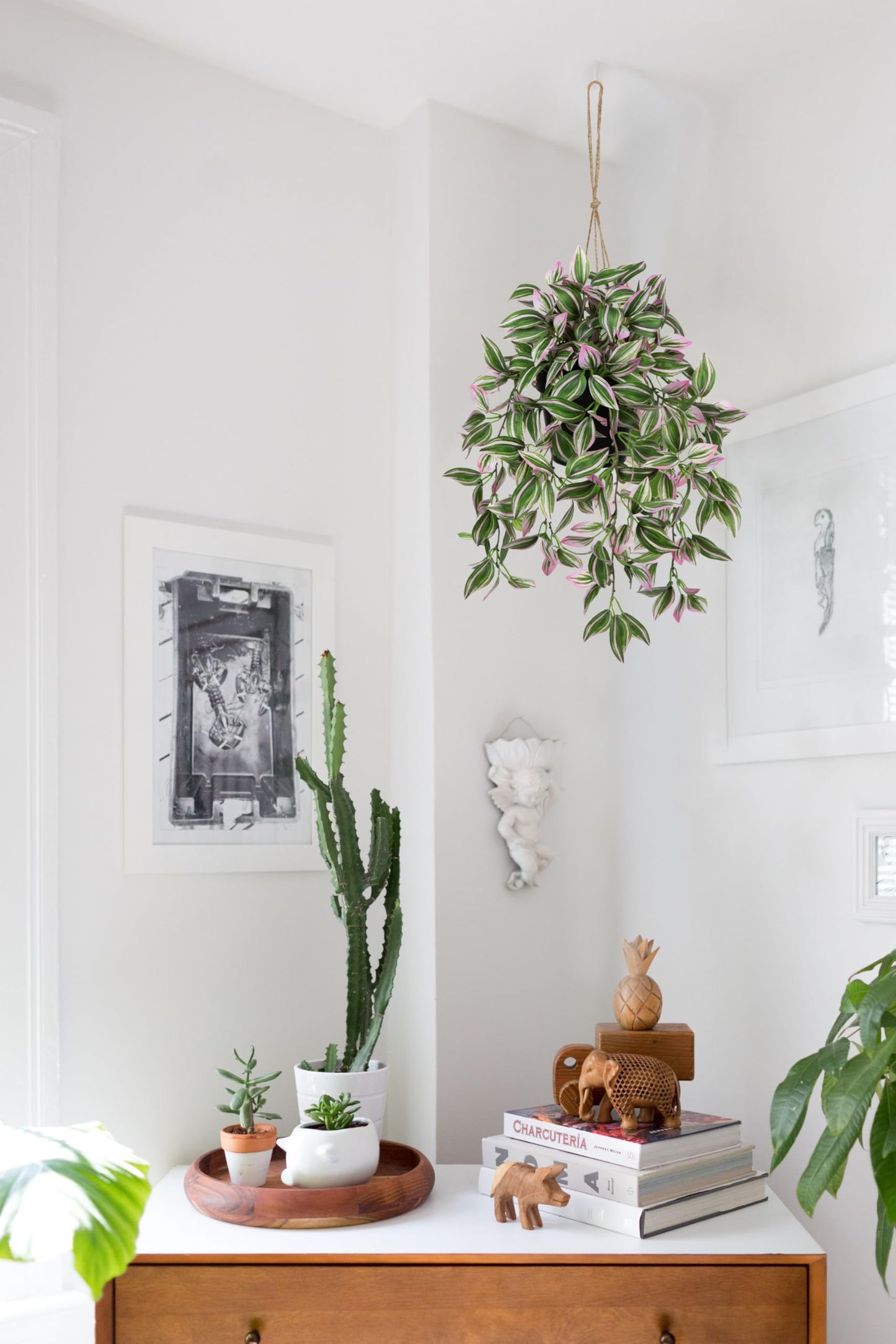 Briful Fake Hanging Plants 17.7" Faux Watermelon Peperomia Silk Plants with Black Pot Artificial Hanging Greenery for Home Garden Balcony Outdoor Patio Decor