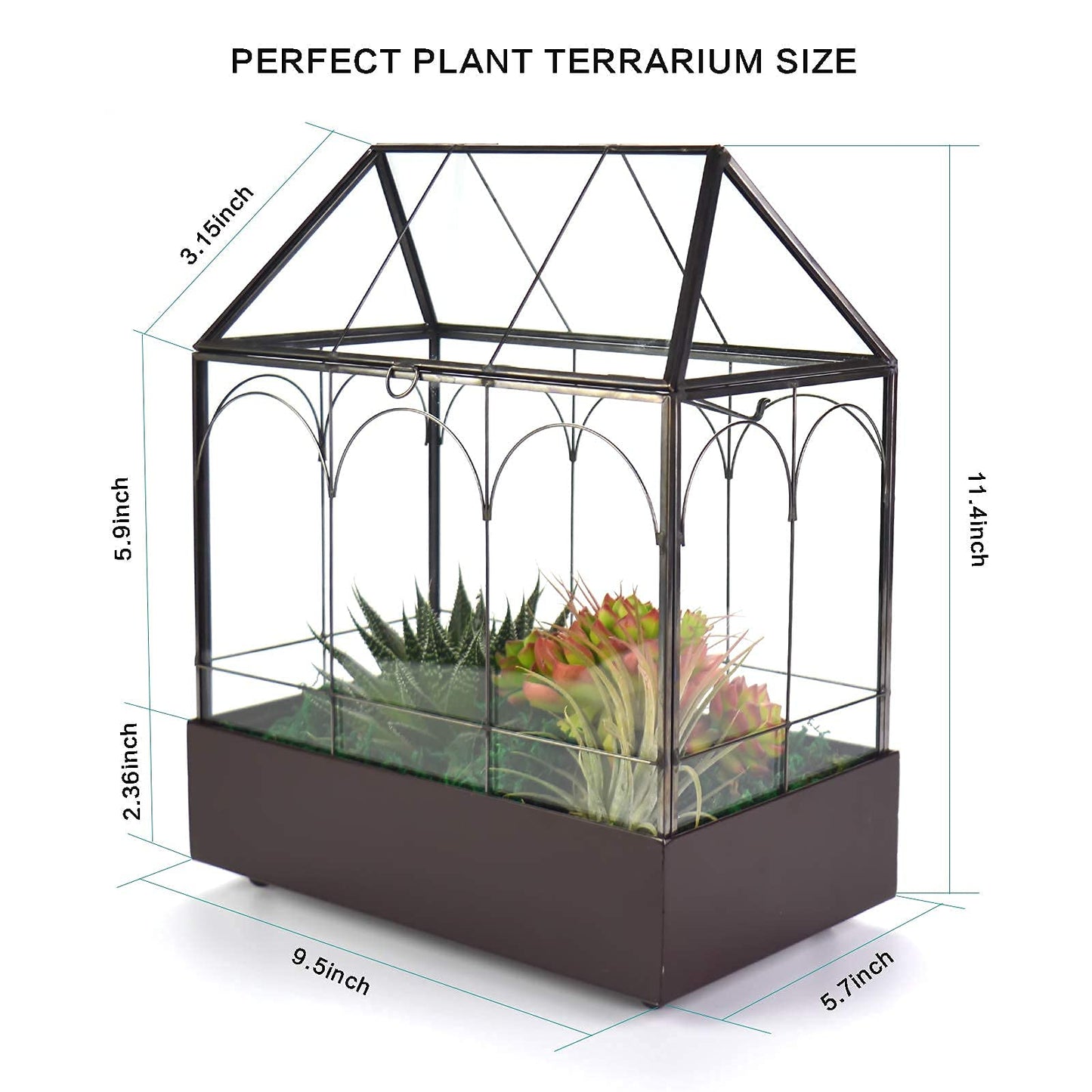 Large Tall Glass Plant Terrarium – House Succulent Terrarium Kit with Lip and Tray Glass Greenhouse Terrarium for Plant 9.5”X5.7”X11.4”