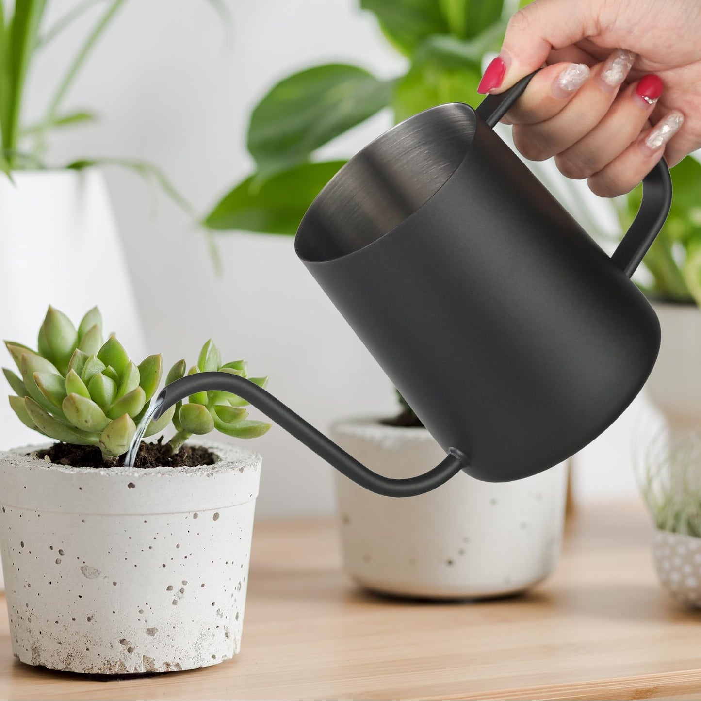 Small Watering Can Indoor Plants - 20 oz Mini Stainless Steel Watering Can with Long Spout Rust-Proof Tiny Metal Watering Can for Small House Plants Flowers Home & Office Black