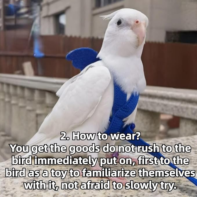 Pet Parrot Bird Harness and Leash, Adjustable Training Design Anti-Bite, Bird Nylon Rope with Cute Wing for Lovebird Budgie African Grey Macaw Conure (Blue,Pigeon)