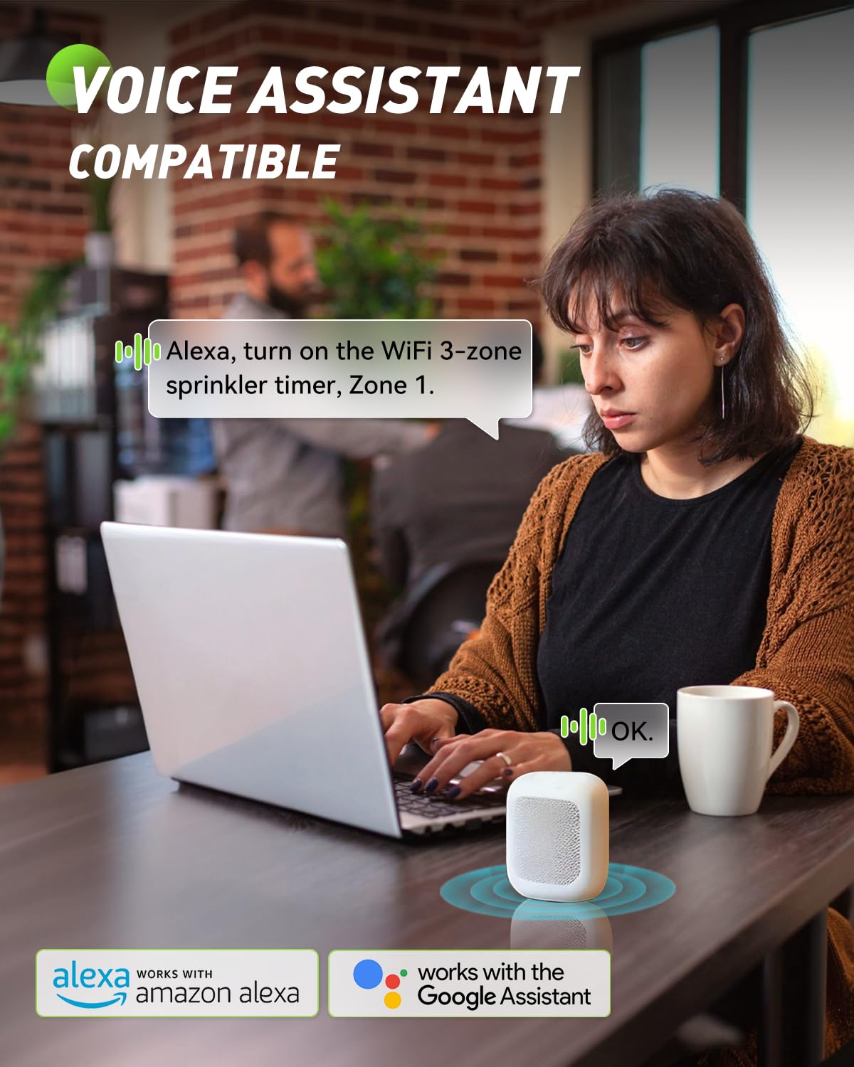 RAINPOINT 3 Zone WiFi Water Timer with Smart Gateway, Brass Inlet/Outlet WiFi Sprinkler Timer, Voice Control, Smart Watering System by Time/Weather/Quantity/Soil Moisture, Rain Delay & Manual Watering