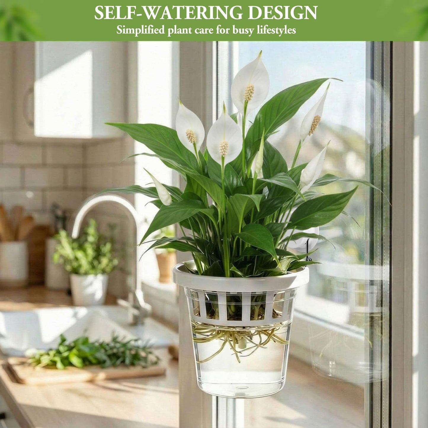 Teecyhooo 4 Set Window Propagation Stations Plastic Wall Hanging Planter with Suction Cups Clear Self Watering Window Mounted Plant Pots for Indoor Plants Bathroom Living Room Office Decor Gift