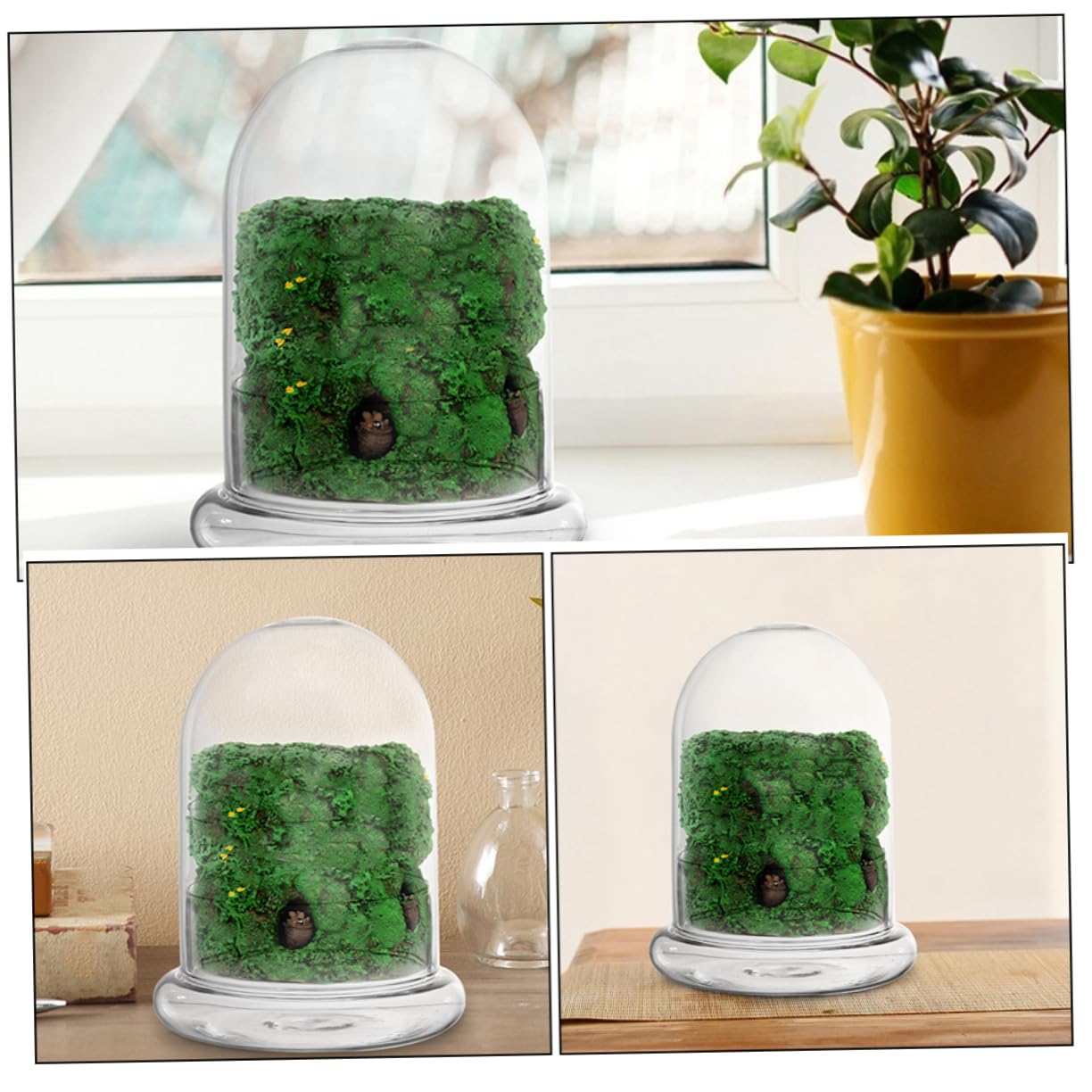 VANZACK 2pcs Moss Landscape Bottle DIY Plant Terrarium Glass Container for Indoor Home
