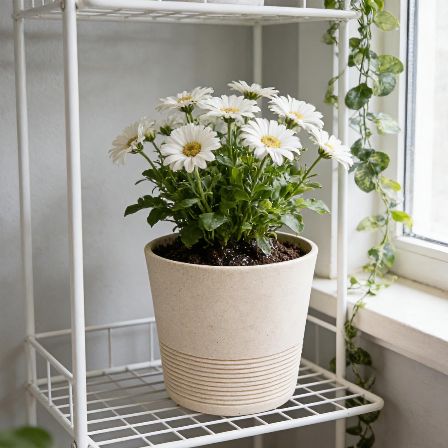 Ekirlin 7 Inch Indoor Plant Pot, Natural Resin Gravel Textures Planters, Modern Heavy Planter with Drainage Hole, Removable Rubber Stopper and Non-Slip Soft Pad, Decorative Pot for Home/Outdoor/Garden