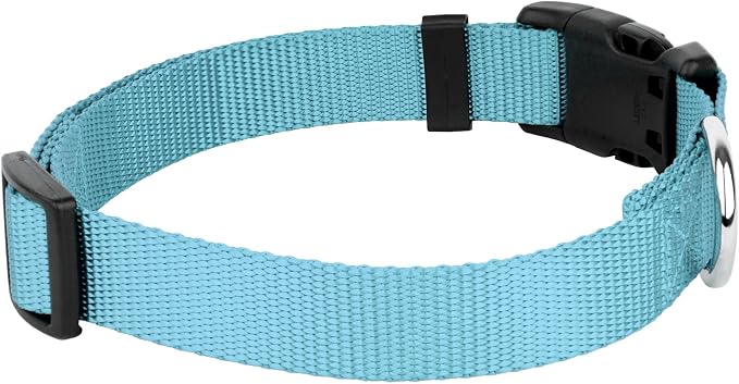 Country Brook Petz - Everyday Nylon Dog Collar and Leash - 10+ Cool Colors (1 Inch, Large, Ocean Blue)