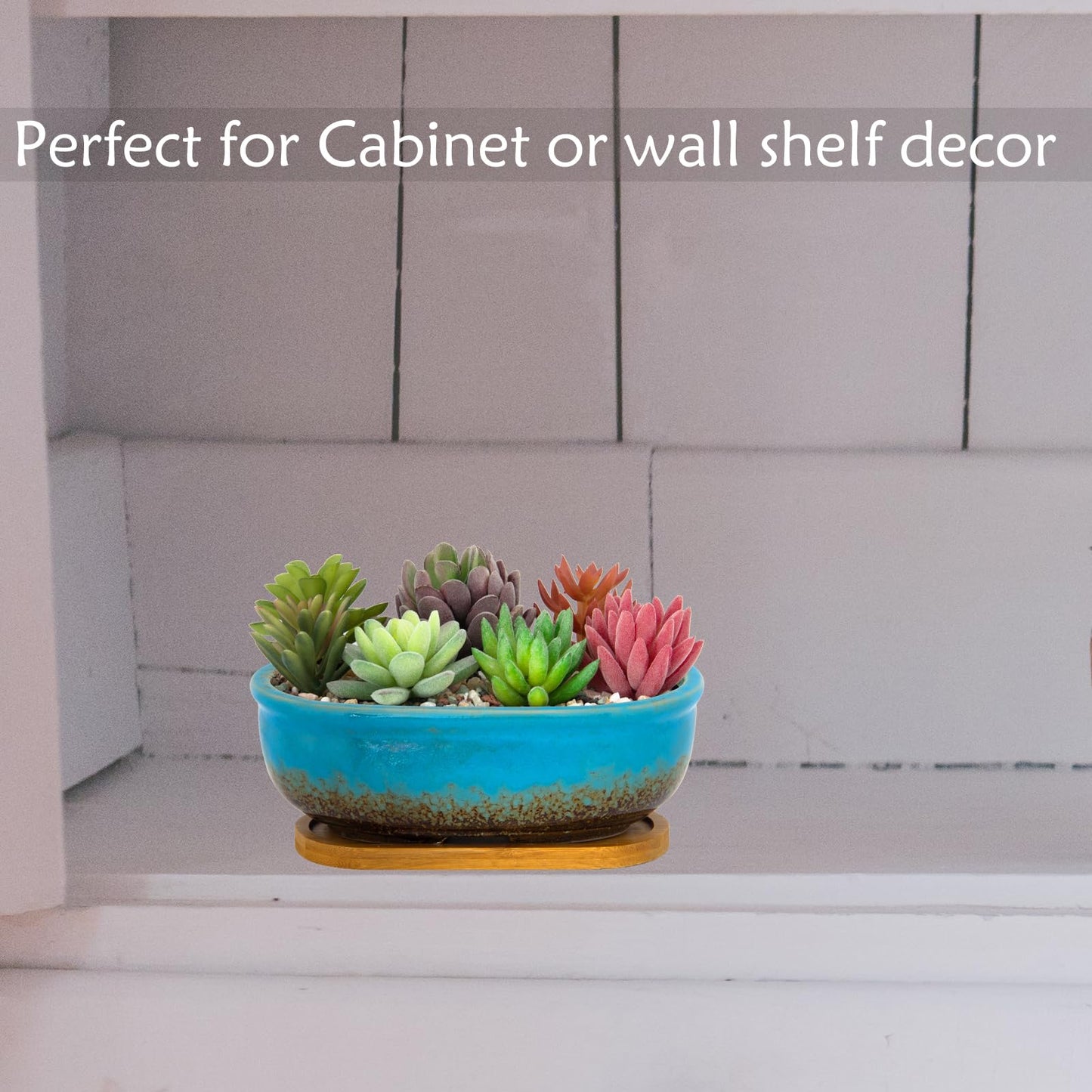 ARTKETTY Succulent Pots, 7.9'' Large Ceramic Pots for Indoor Cactus Plants, Shallow Succulent Planters with Drainage Tray, Oval Bonsai Plant Container Bowl Garden Home Windowsill Decor