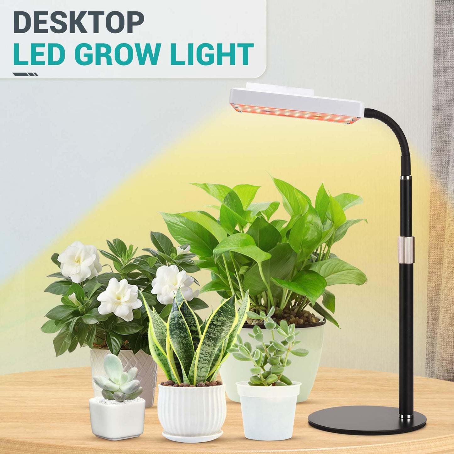 DragonLight Upgrade Desk LED Grow Lights, Full Spectrum Dimmable Grow Light with Remote Control for Greenhouse and Indoor Plant Veg and Flower Growing [Tabletop]