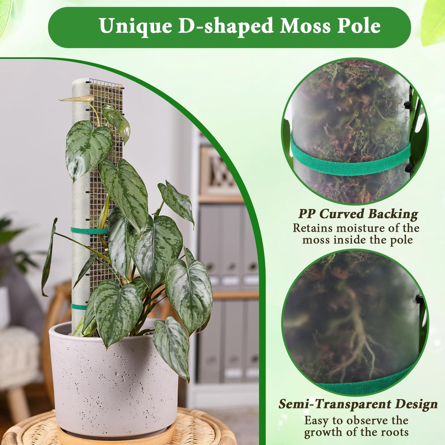 24"+40"+60" Metal Moss Pole - 6 Pack D Shape Sphagnum Moss Pole, Moss Poles for Climbing Plants, Monstera, Climbing Plants Indoor