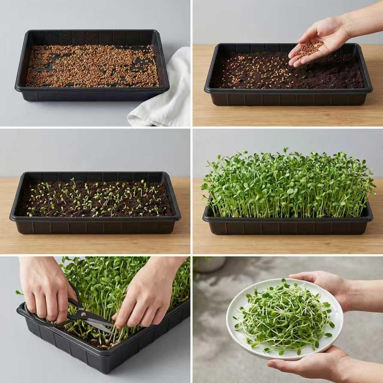 EXTYQWC 10 Plant Growing Trays,Plant Tray, Seed Tray, Seedling Tray, Propagation Tray, Plant Trays for Seedlings, Planting Trays, Seedling Starter Tray(No Drain Holes)
