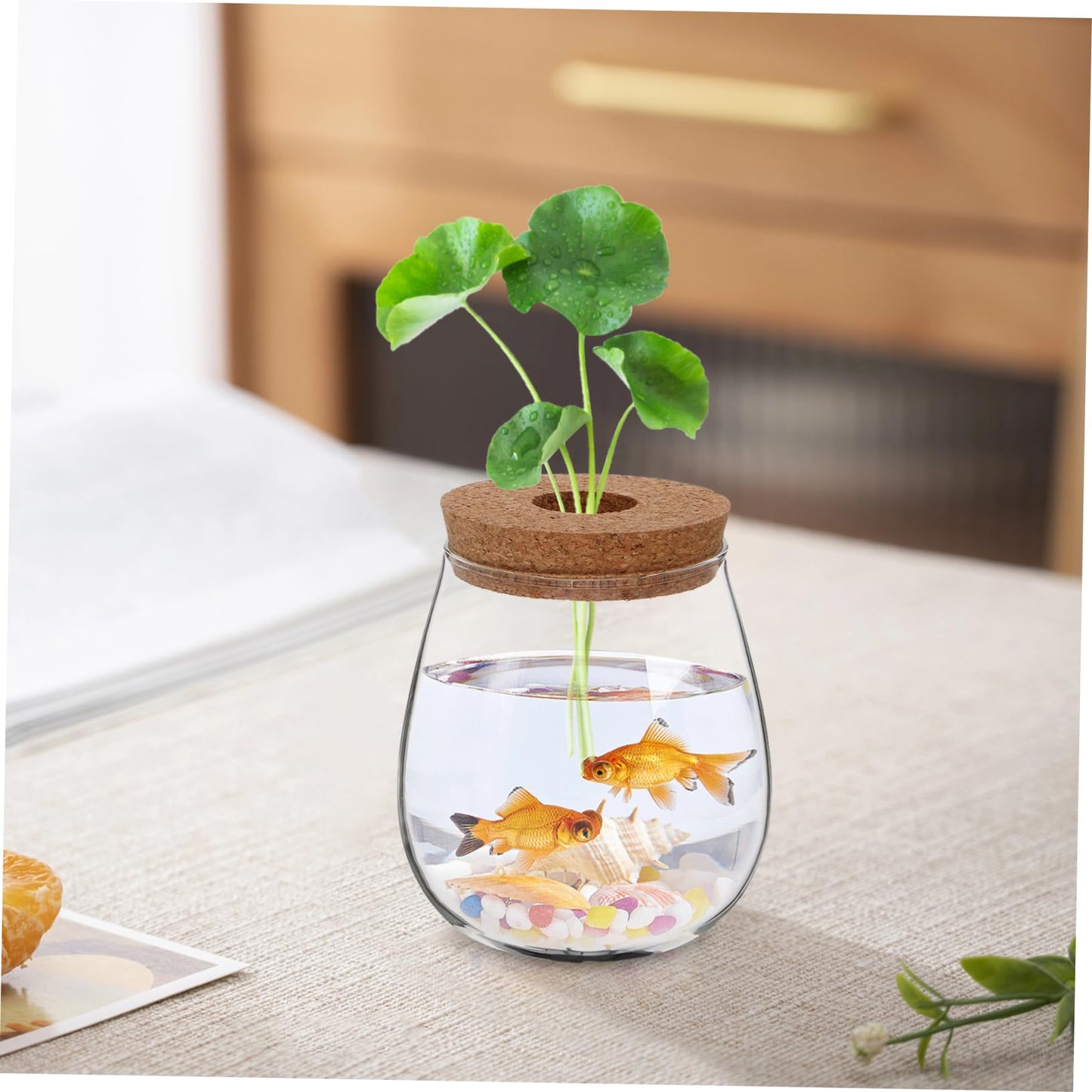 POPETPOP Modern Hydroponic Glass Vase Compact Desktop Planter for Terrariums Flower Holder for Aesthetic Home Decoration for Observing Plant Growth