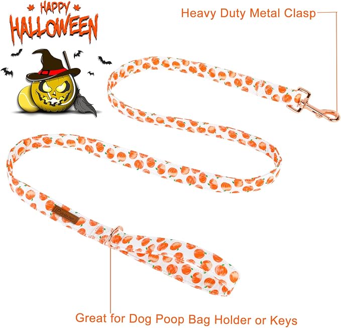 Dog Leash & Collar Set, Sturdy Durable Cotton, Pumpkin Pattern for Small to Large Dogs