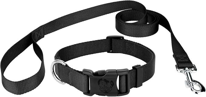 Country Brook Petz - Everyday Nylon Dog Collar and Leash - 10+ Cool Colors (3/4 Inch, Small, Black)