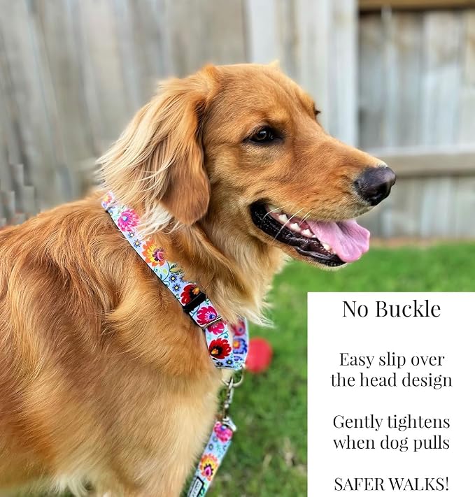 Lucky Love Dog Martingale Dog Collar & Leash - Adjustable, No-Slip, Durable, Comfortable, Soft Webbing, & Stylish Patterned Collar & Leash Set for Male and Female Dogs - Ladybird Combo, Medium