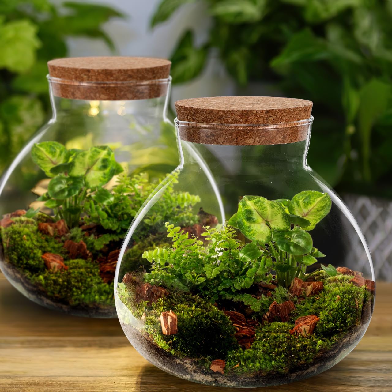 Alasum Glass Terrarium Bottle with Cork Lid 5.90X6.29X5.90In Round Jar for DIY Micro Landscape Fairy Garden Miniatures Home Decor and Kitchen Storage