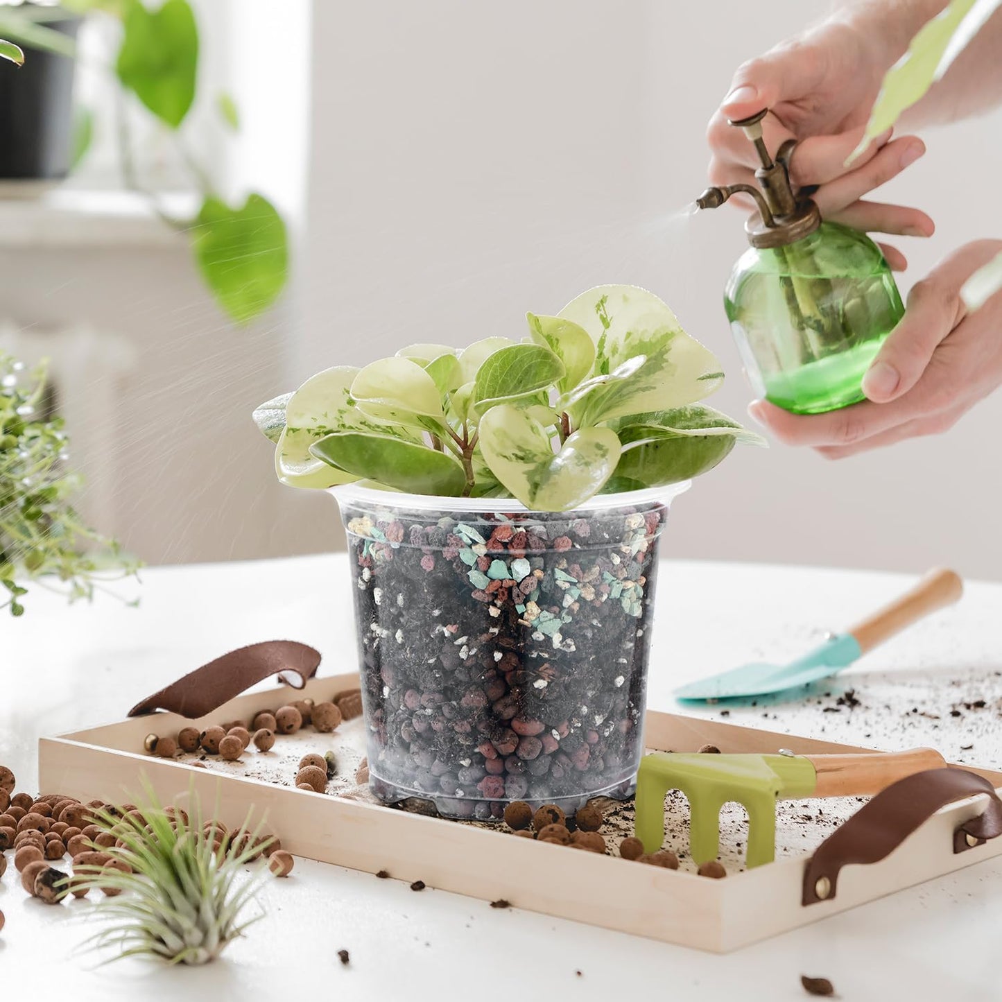 60 Pcs Clear Nursery Pots with Drainage Indoor 4 5 6 Inch Nursery Pot with Drainage Holes Plastic Seedling Pots for Plants, Plant Starter Pot with Holes Clear Plastic Planter for Indoor Plants