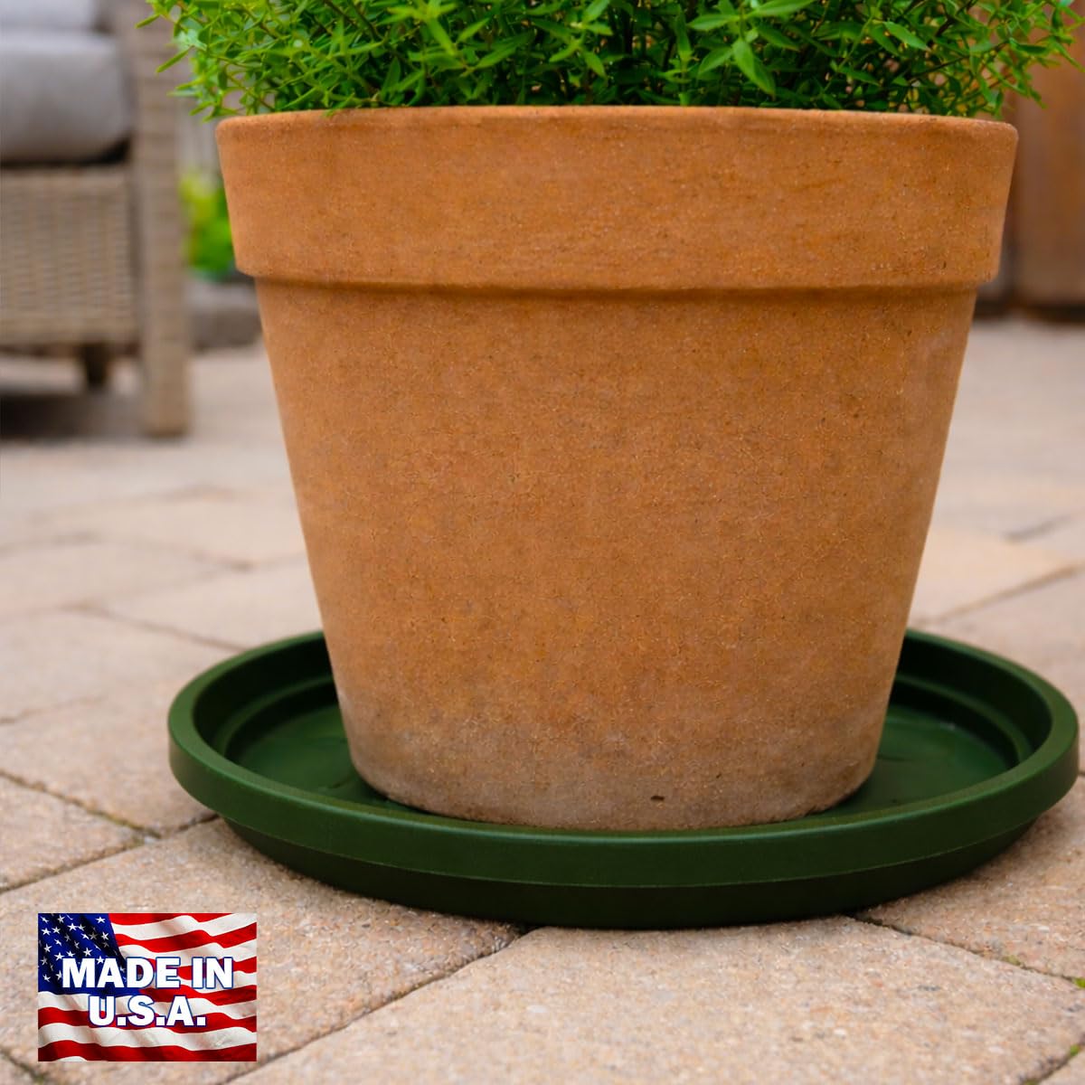 smart spring 10 Inch Plant Pot Tray USA Made – Durable Plastic Flower Pot Saucer – Plant Water Catcher for Indoor Outdoor Garden (6, Deep Forest)