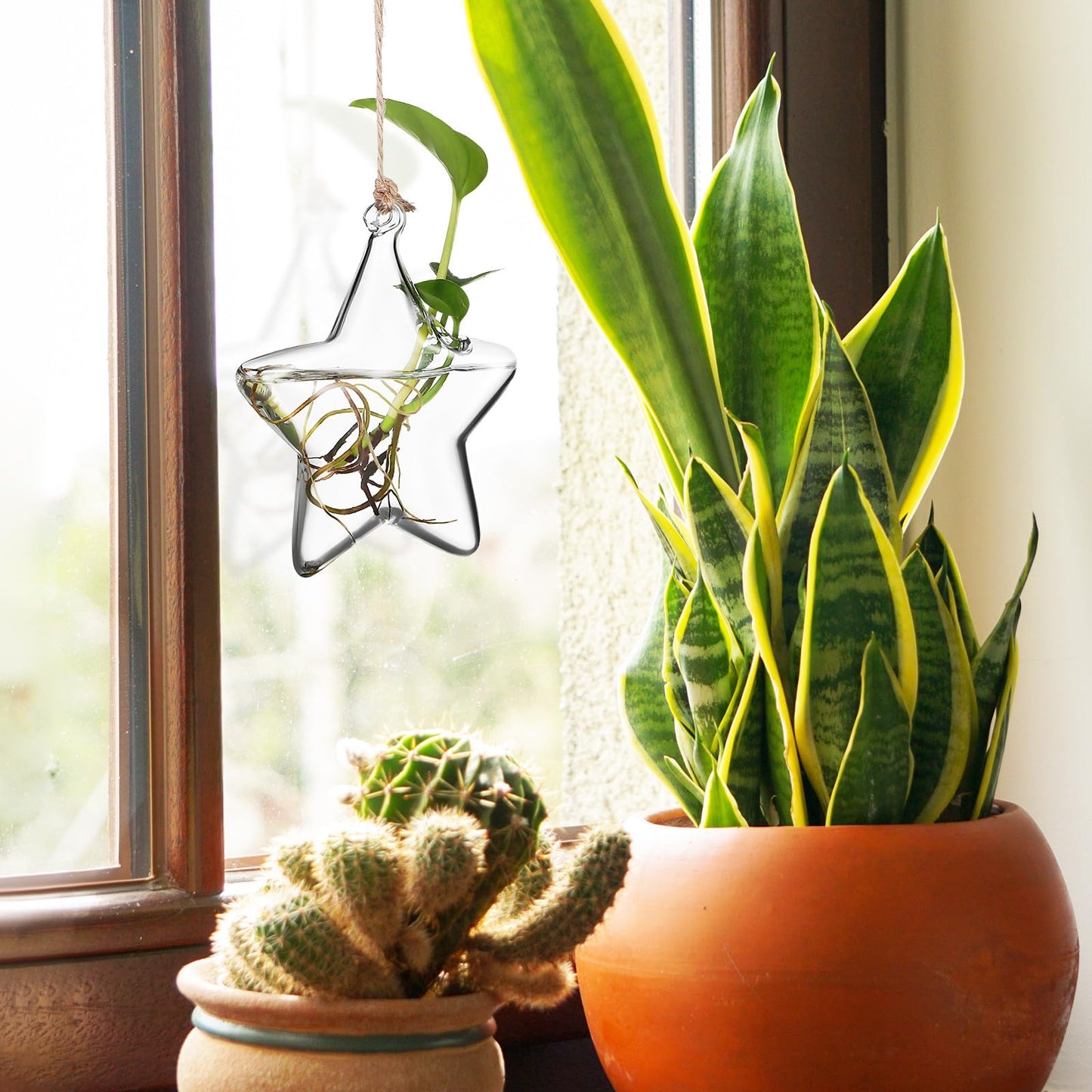 NUOBESTY Hanging Glass Flower Vase Hydroponic Glass Planter Marine Shape Small Terrarium Pot for Indoor Plant Propagation Home Décor