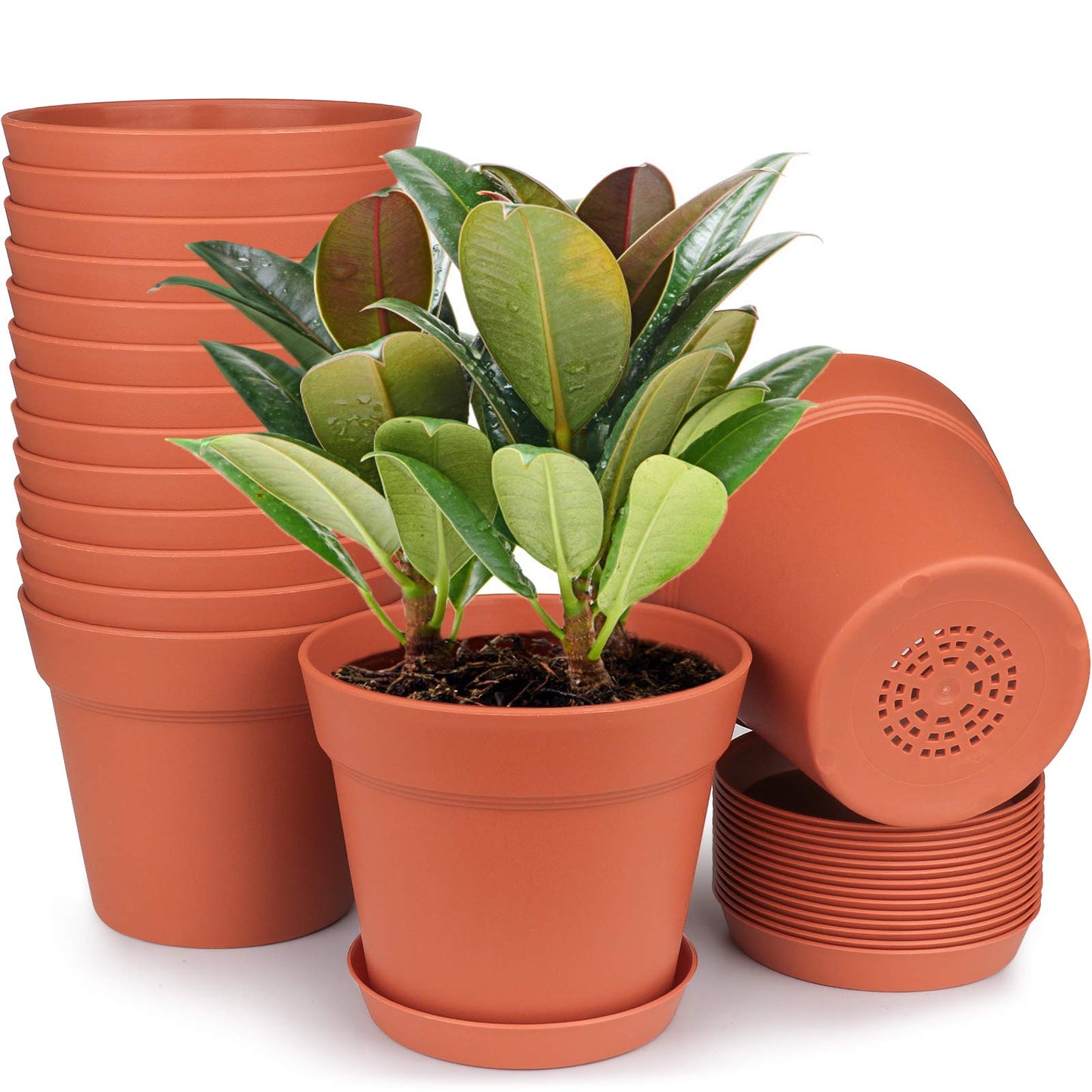homenote Pots for Plants, 15 Pack 6 Inch Plastic Planters with Multiple Drainage Holes and Tray - Plant Pots for All Home Garden Flowers Succulents