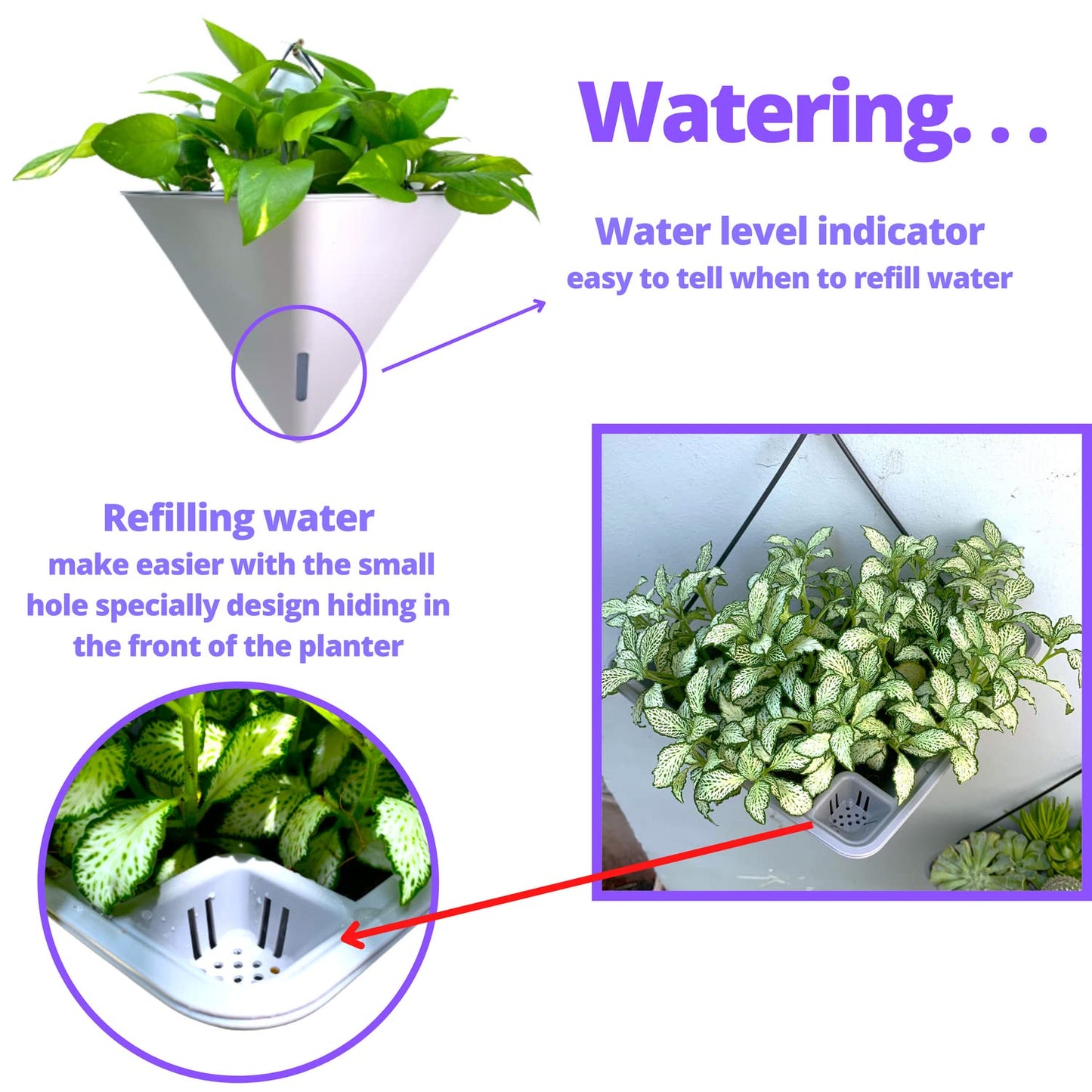LaLaGreen Bundle - 12" x 2 Pack Gray + 12" x 4 Pack White Large Self Watering White Geometric Hanging Flower Vase Vessel with Metal Hanger, Modern Stylish Wall Mounted Succulent Pot Holder Decor