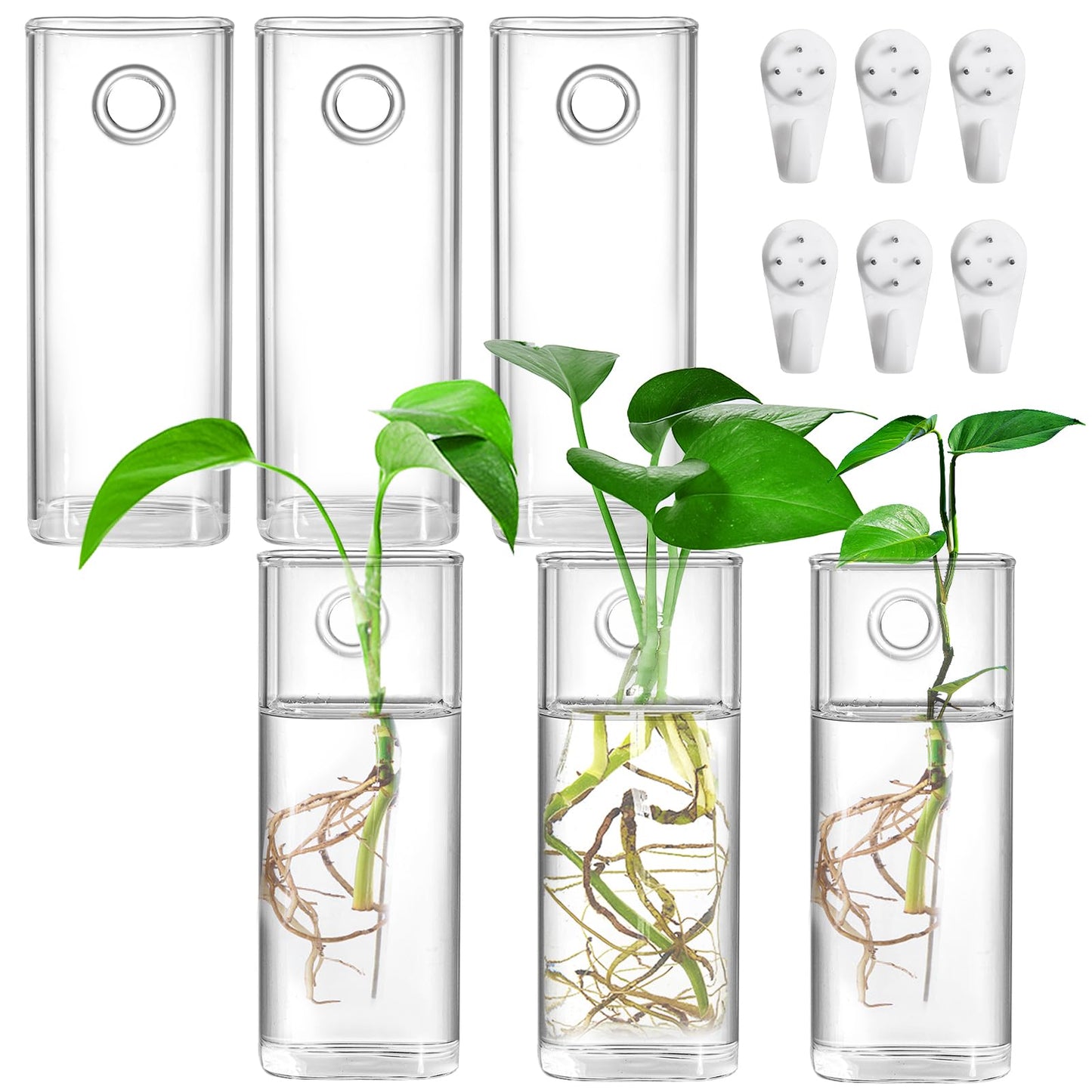 Fasmov 6 Pack Wall Hanging Glass Planters, Terrarium Holders for Air Plants, Succulents, Flowers - Square, Clear Vase Containers for Plant Display and Decoration