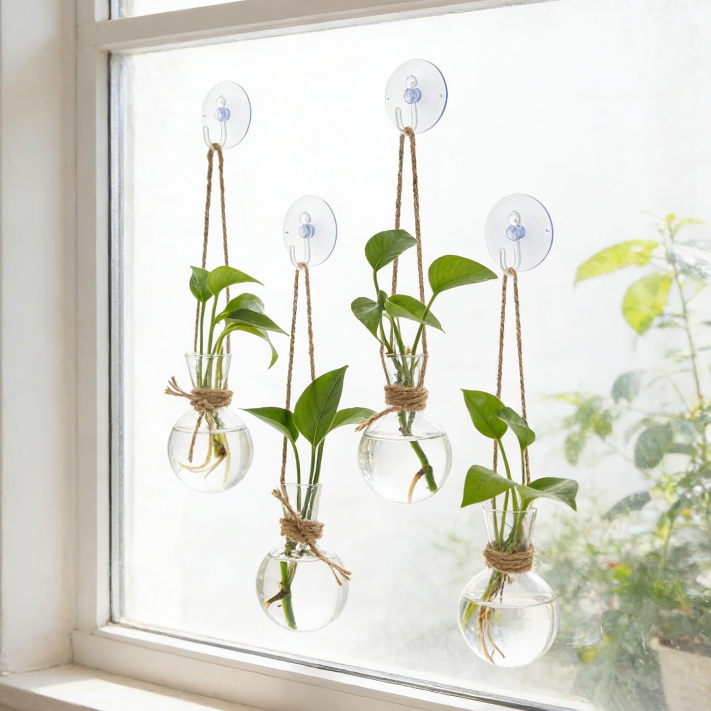 Bunmery 4 PCS Window Propagation Stations, Glass Plant Propagation Bulbs Vases with Suction Cups & Traceless Nails, Easy to Install Window Wall Hanging Planter Terrarium Vase for Home Office Decor