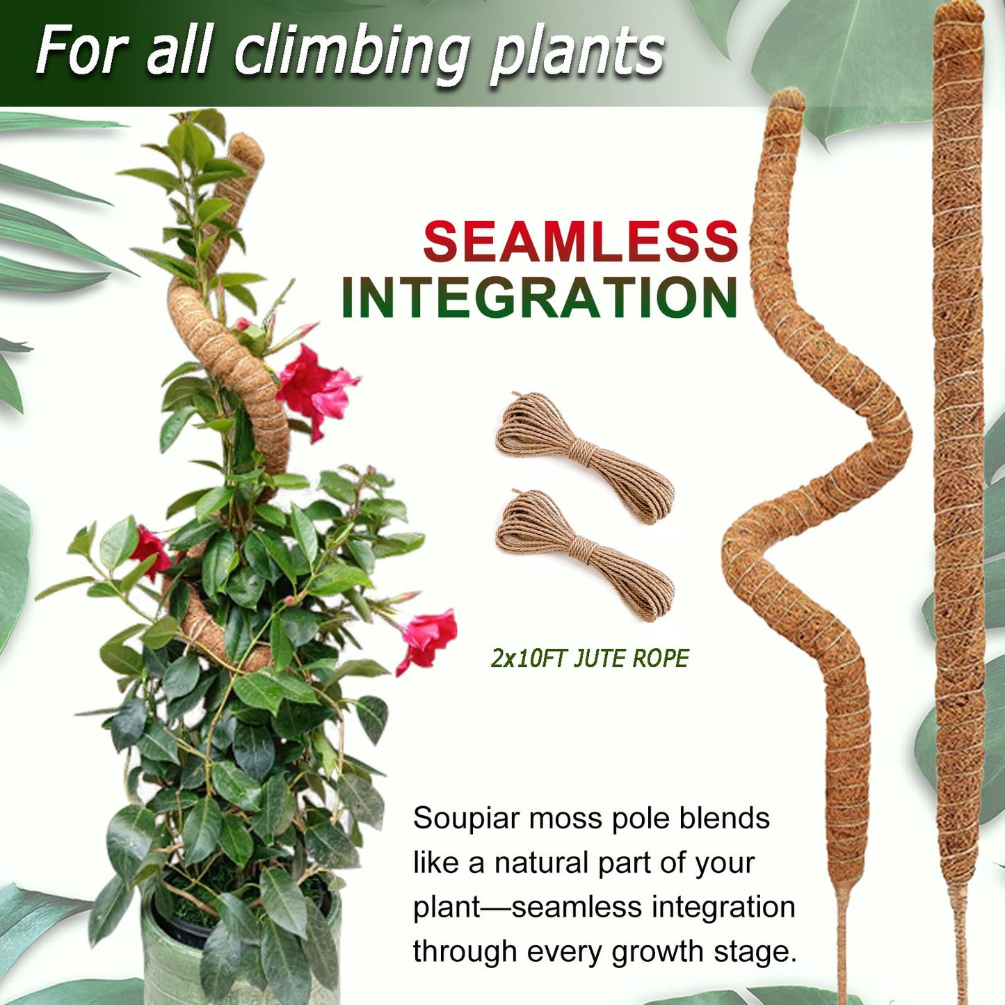 2 Pack 48'' Bendable Moss Pole for Monstera & Pothos - Tall Handmade Coco Coir Plant Support Stakes for Large Climbing Indoor Plants, Potted Houseplant Trellis Accessories