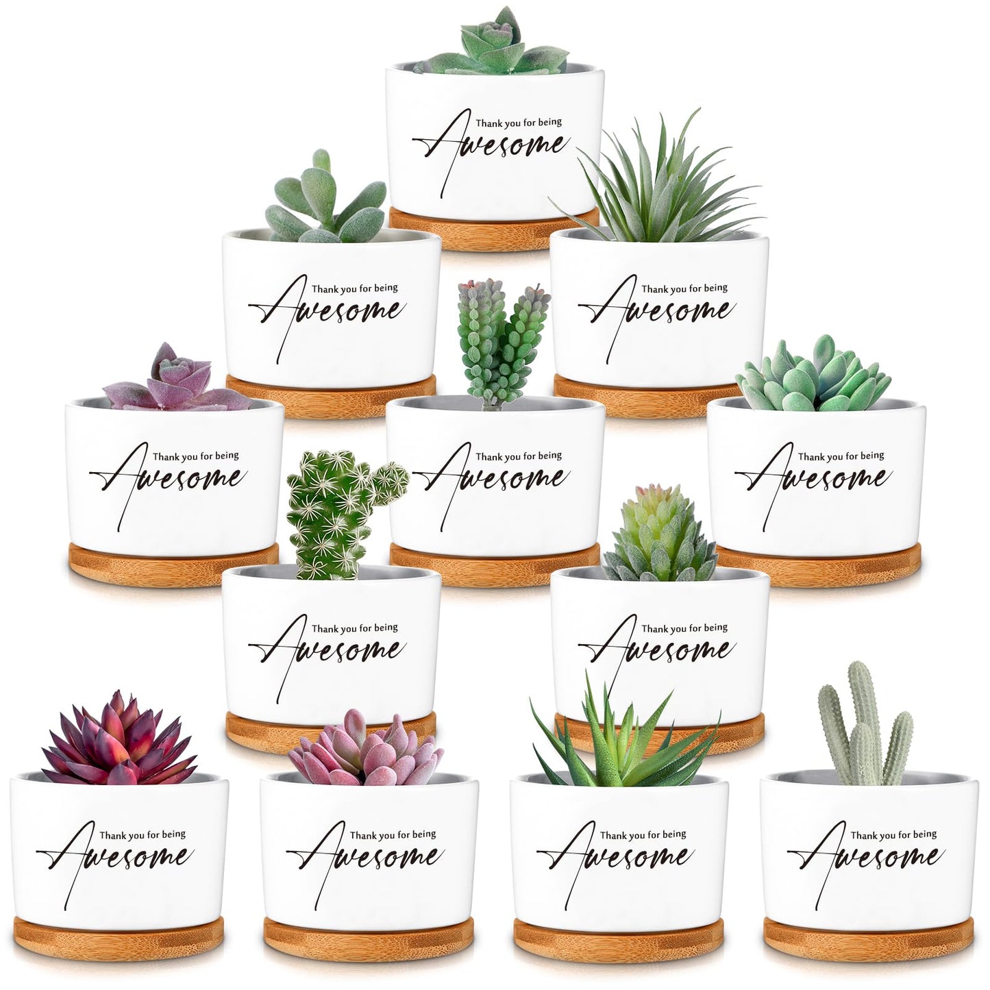 12 Pack Teacher Appreciation Gift Thank You Succulent Ceramic Mini Pots Nurse Week Gift with Bamboo Tray Succulent Planter for Employee Memorial Day Office Team Volunteer Desk Decor, Plants Excluded