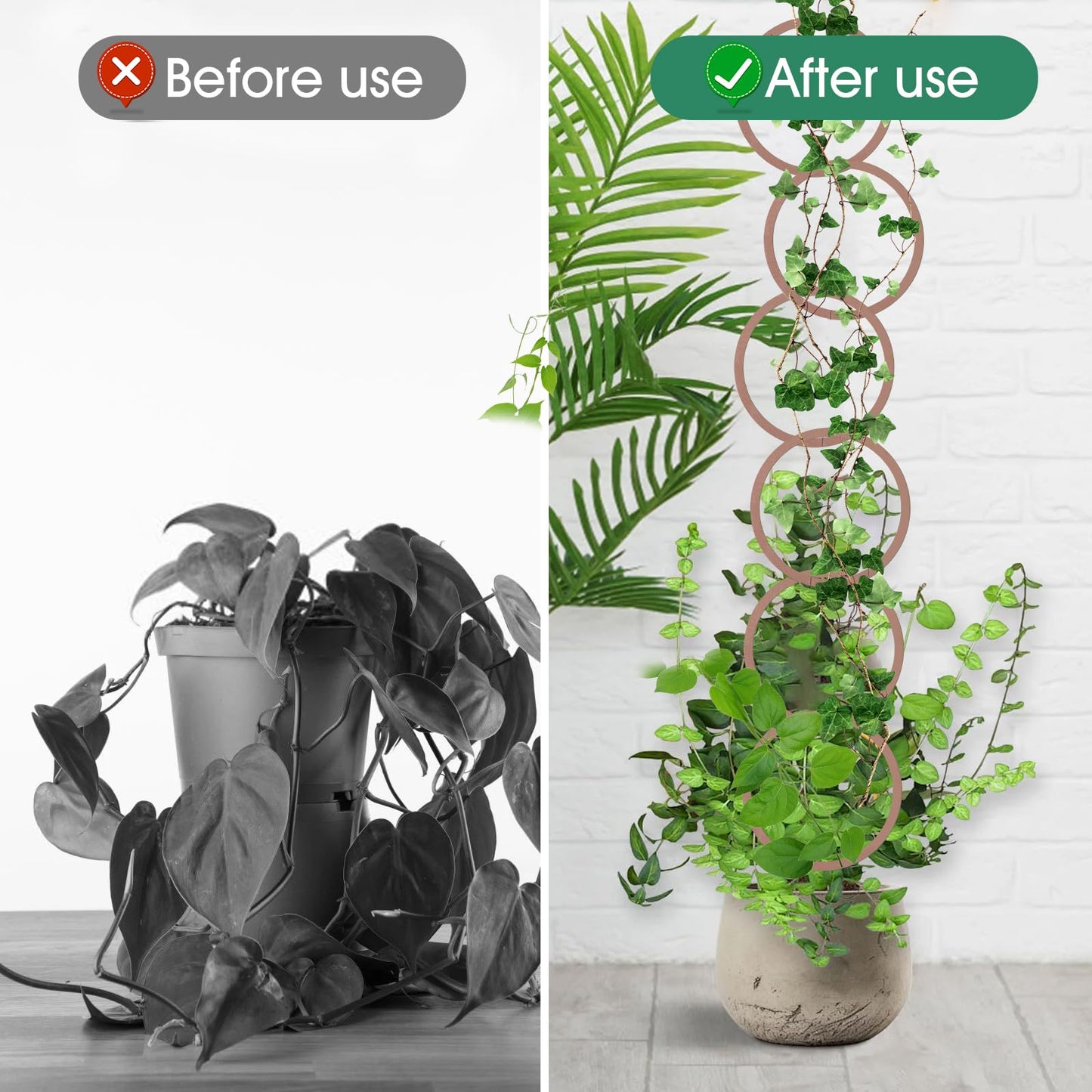 20pcs Round Chain Trellis for Climbing Plants Indoor, with 8pcs Self-Adhesive Hooks, HSSZXFR DIY Plant Climber Support for Vines and Garden Wall Trellis, for Monstera Pothos Ivy Flower
