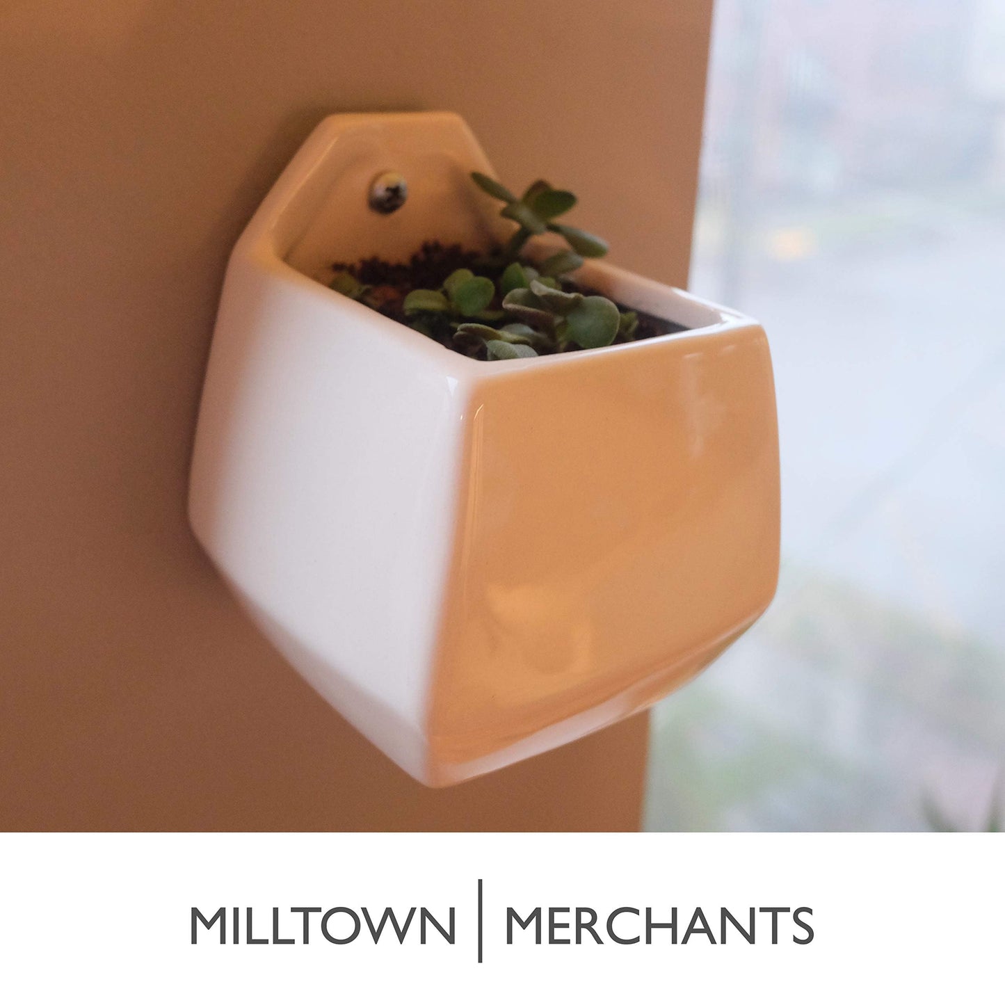 Milltown Merchants Succulent Wall Planters - Wall Vases - Black Ceramic Wall Mounted Planters - Succulent Plant Pots - Hanging Vases for Living Wall (2 Pack/Contemporary/White)