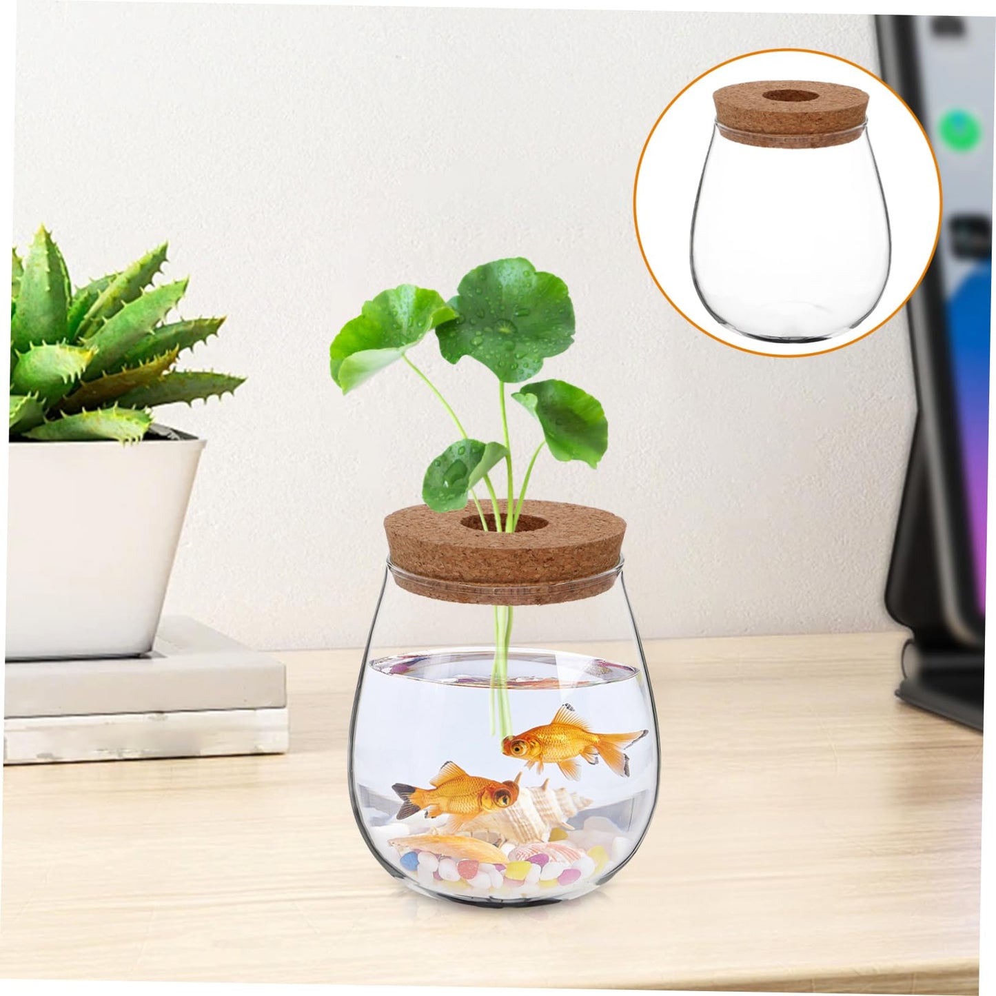 ifundom Creative Hydroponic Glass Vase for Plants Transparent Desktop Propagation Planter Elegant Terrarium for Indoor Greenery Low Maintenance Water Propagation Station for Spaces