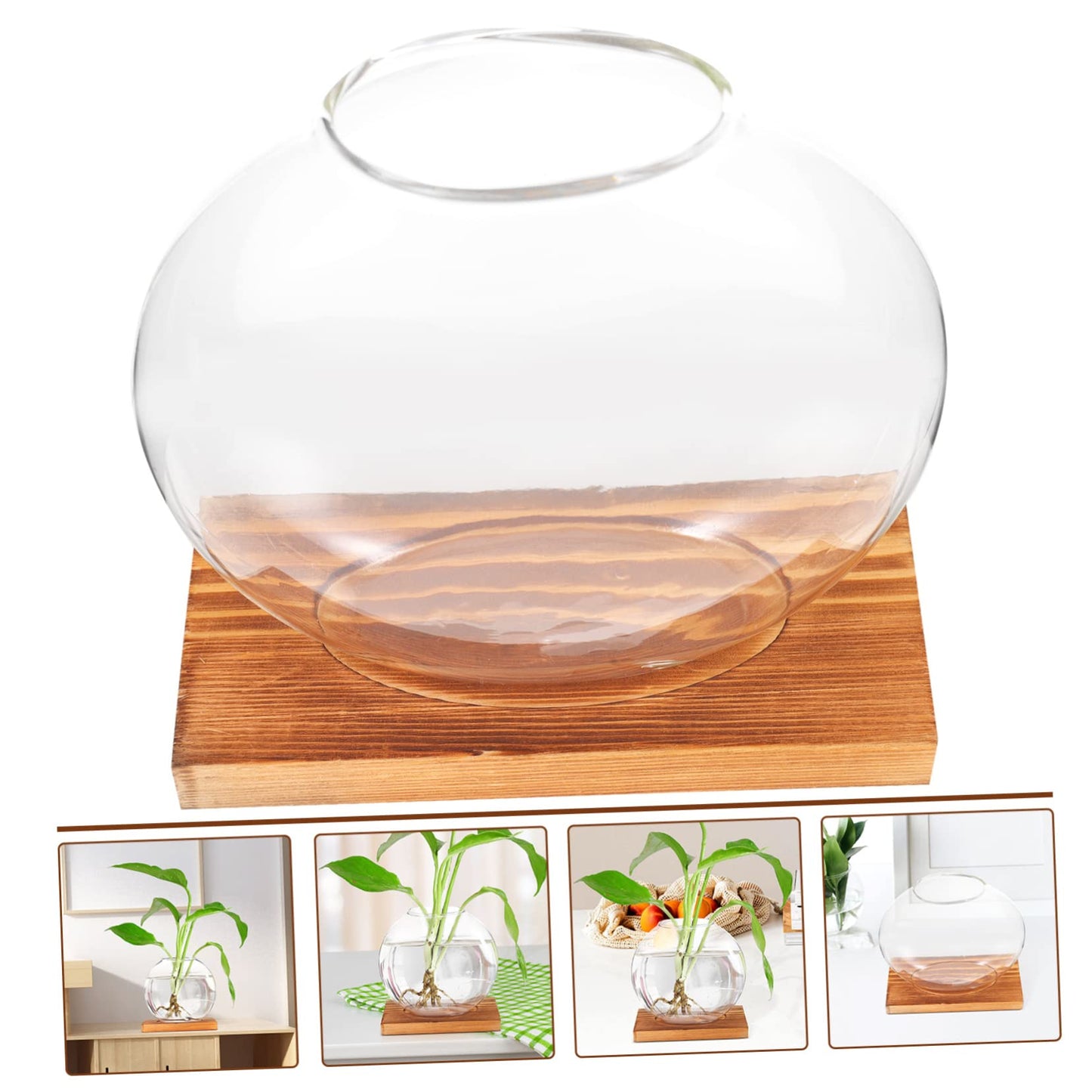 VALICLUD Hydroponic Plant Vase with Retro Base Tabletop Glass Terrarium for Home and Office Decor Chic DIY Decorative Container for Greenery and Floral Arrangements