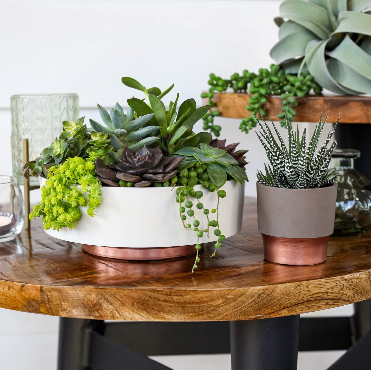 The HC Companies 6 Inch Round Plastic Succulent Capri Bowl 6"x6"x2.25" in Vanilla Bisque with Copper Bottom Color