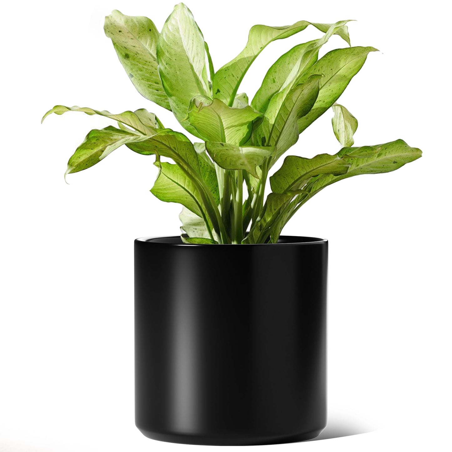 LE TAUCI 12 Inch Pot for Plants, Ceramic Planters for Indoor Plants, Mid-Century Modern Cylinder Flower Pots with Drainage Hole, Fits Fiddle Leaf Fig & Monstera, Home Decor, Black