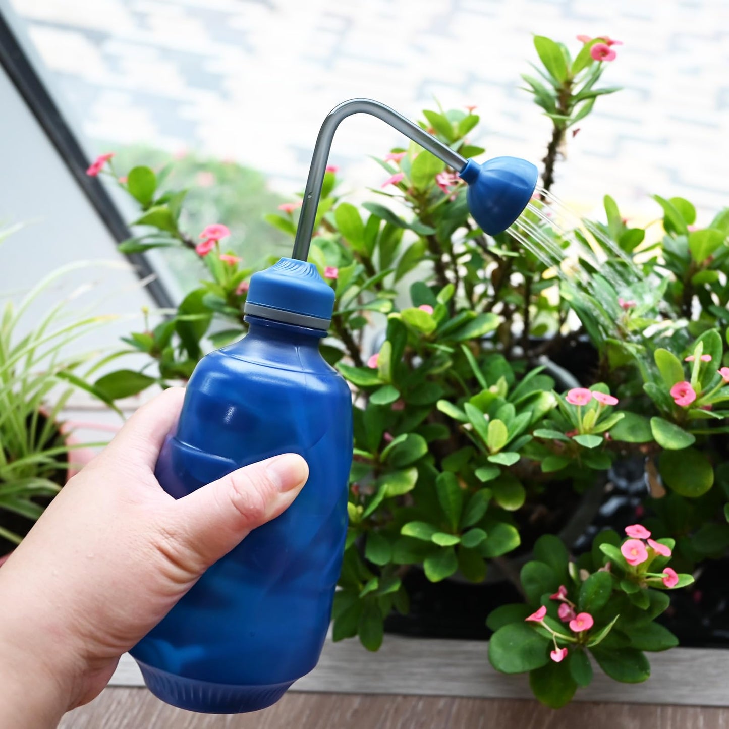 Watering Can for Seedlings, Small Watering Can for House Plant Garden Flower 15oz/0.45l (Blue)