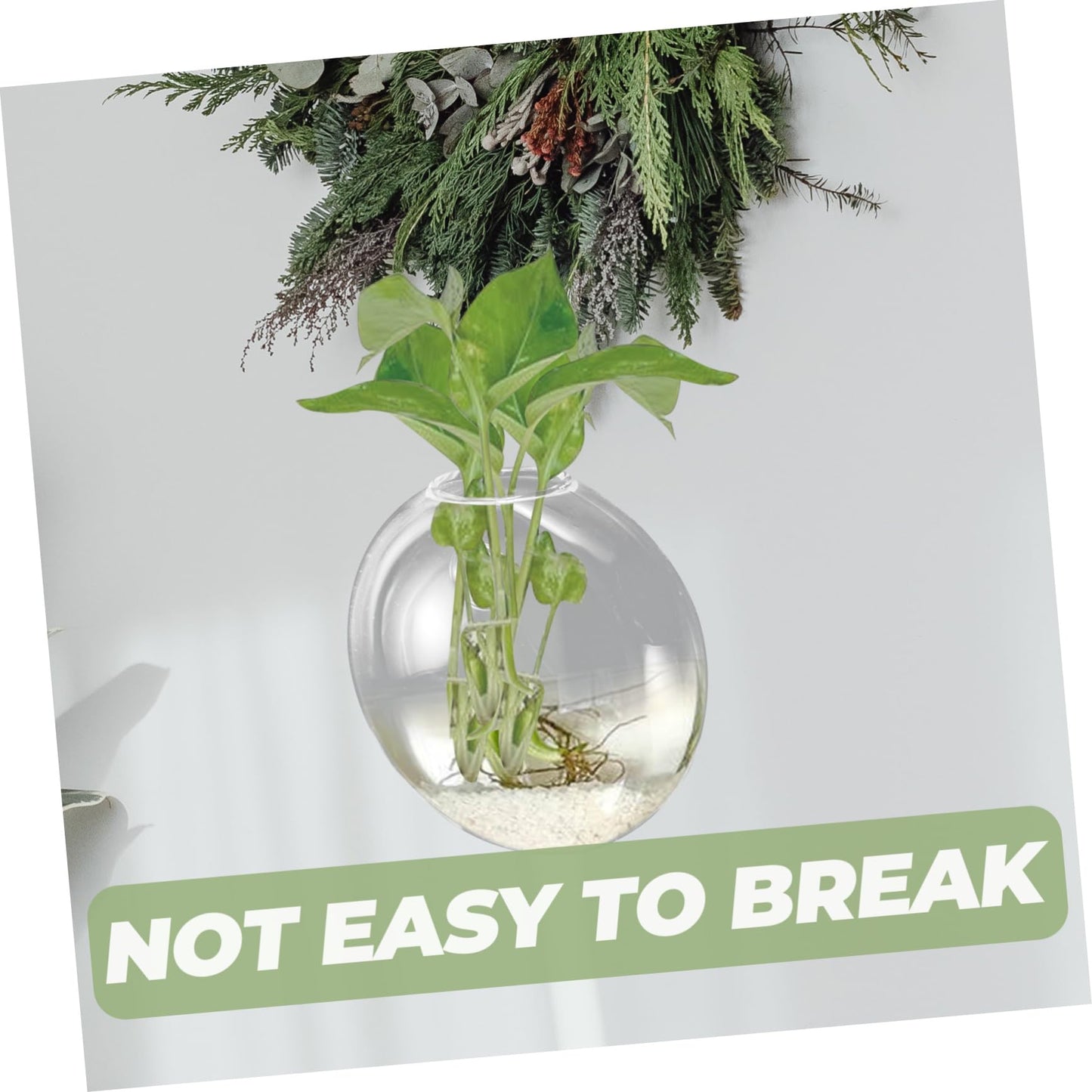 Zerodeko Transparent Glass Wall Hanging Planter Vase for Hydroponic Plants Space Saving Glass Terrarium Container for Indoor Home Decor Easy to Clean and Maintain Suitable for Small