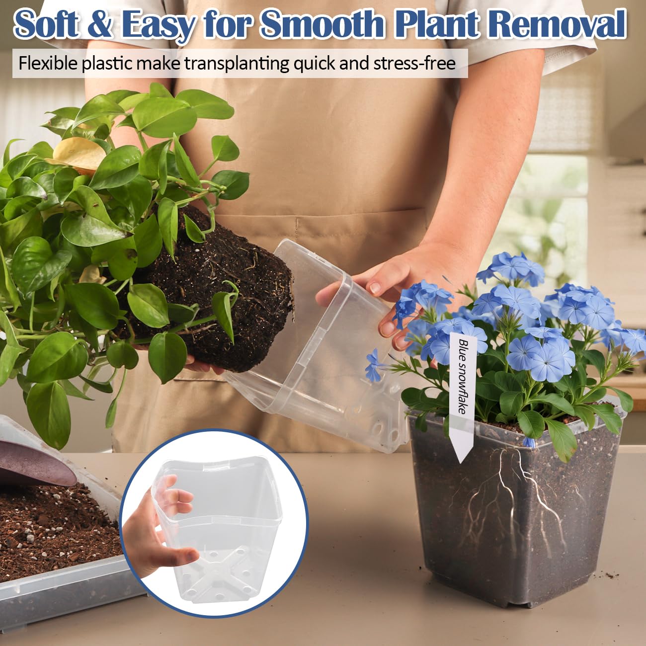 RooTrimmer 5.5 Inch Clear Square Nursery Pots with Drainage & Labels, 30Pcs Reusable Seed Starter Pots for Vegetables, Indoor Outdoor Gardening, Thick Transparent Plastic Plant Pots for Seed Starting