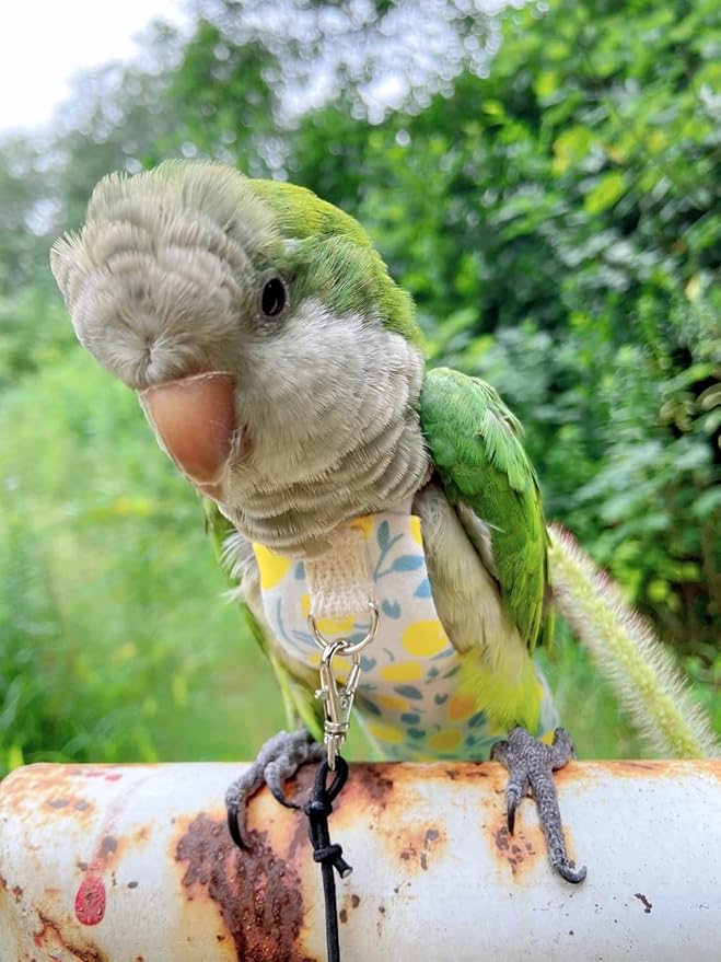 Bird Diaper Harness Flight Suit Clothes, Parrot Flight Suit with Leash, Bird Flying Clothes with Rope and Handle for Outdoor Activities Training (Yellow with Leash,Small)
