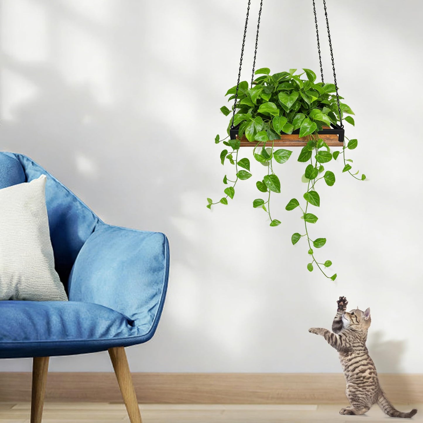 Plant Hanger Indoor, 11.8" Wooden Hanging Plant Holder with Metal Frame Hanging Planter for Indoor Plants Load 50LB Hanging Plant Shelf with 27.6" Long Chain, Ideal for Heavier Pots Window Ceiling